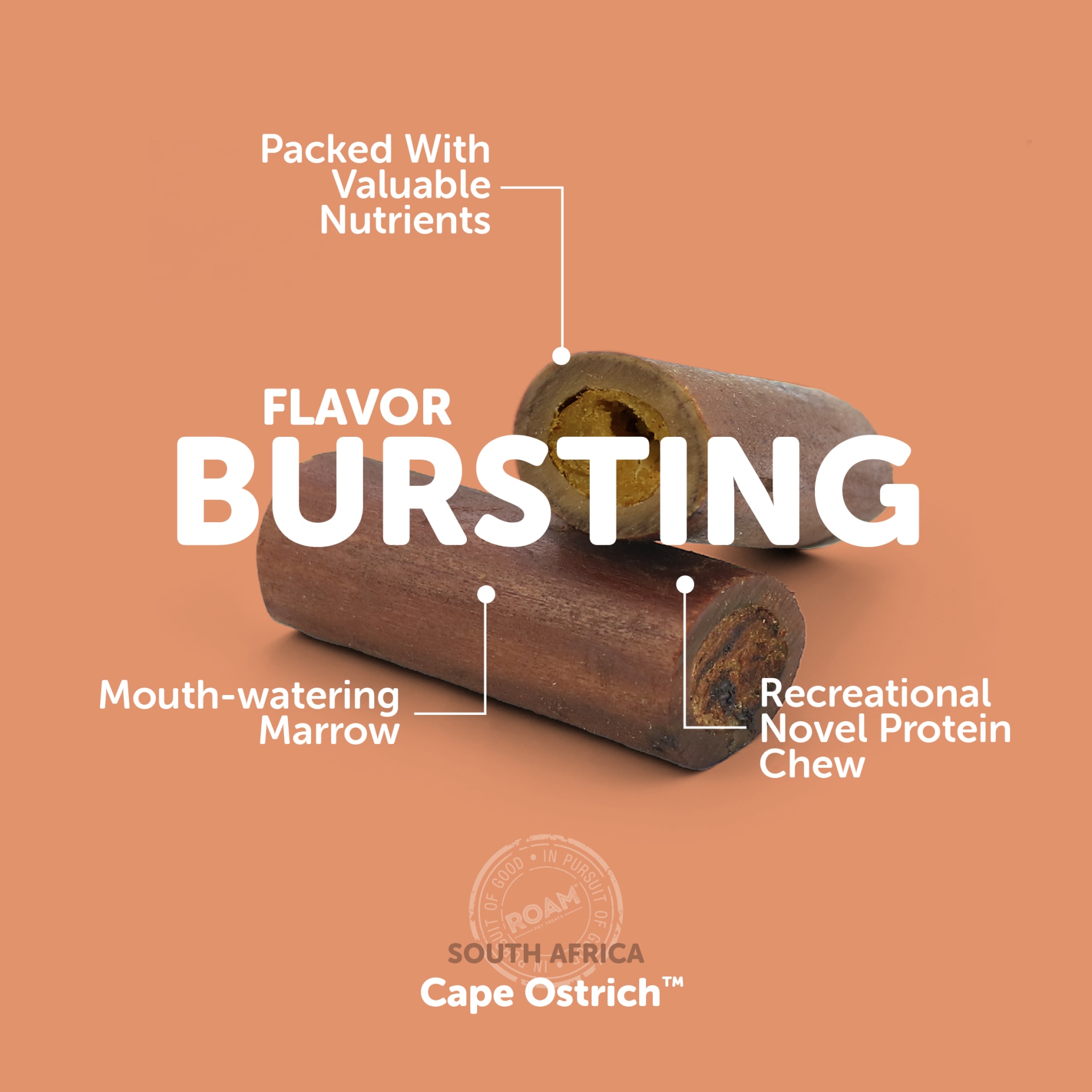 ROAM® Ossy Chews Sampler – Cape Ostrich™ [4 Pc.]