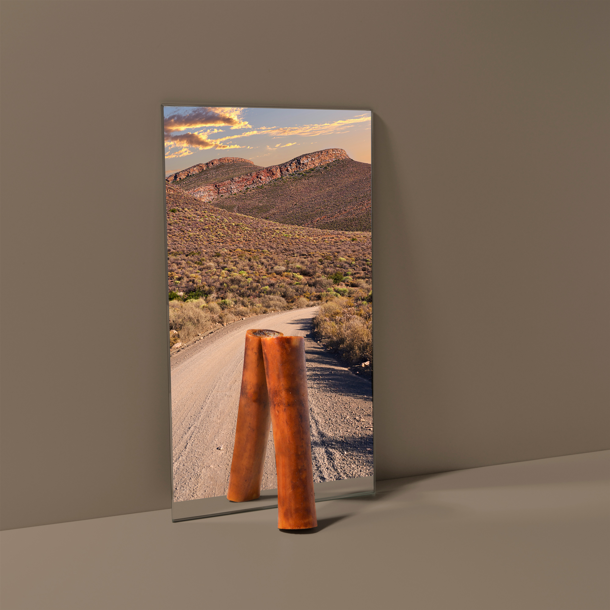 Sustainable Dog Chews - Variety Pack